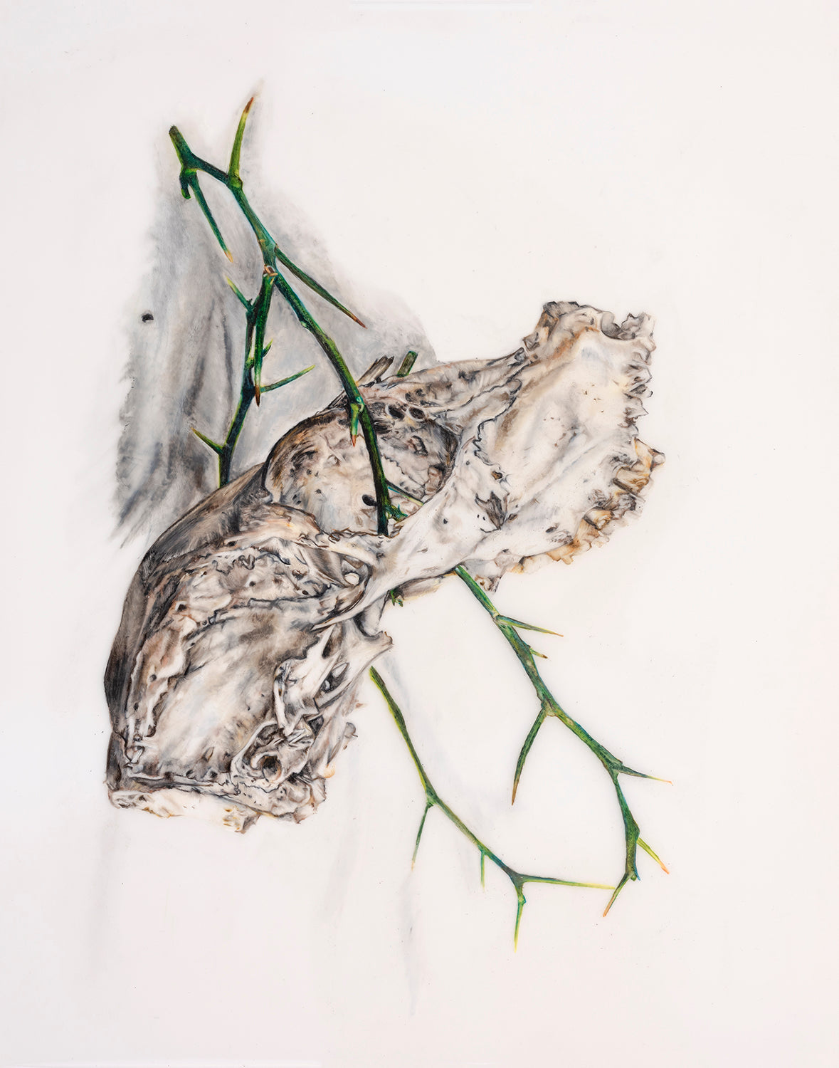 You Must Know Life to See Decay- Limited Edition Print