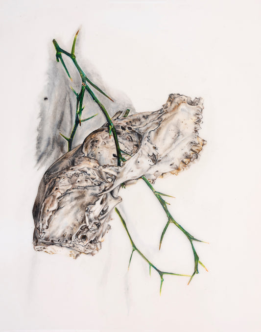 You Must Know Life to See Decay- Limited Edition Print