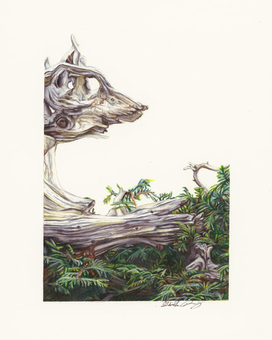 Valhalla is Calling - Limited Edition Print