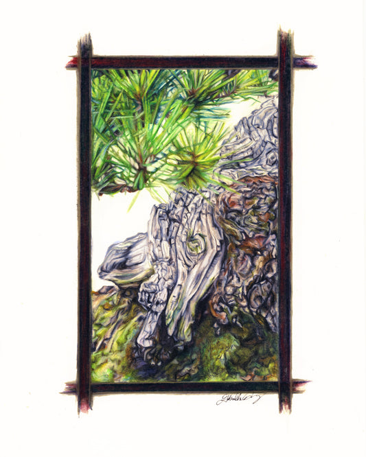 The Guardian - Limited Edition Print