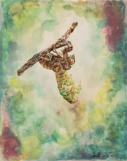 Metamorphosis Take In