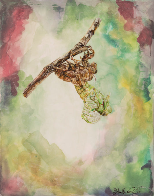Metamorphosis Unfold